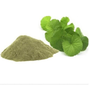 Extracto Seco de Bacopa 20% 50% HPLC USP en Polvo, Extracto Natural Botánico Herbal, Cultivo Silvestre, Suplemento de Grado Alimenticio - Product Image 1