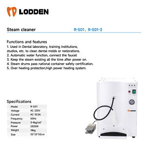 Hoge Druk En Temperatuur Stoomreiniger Tandheelkundige Autoclaaf Stoomsterilisator Machine Stoomreiniger - Product Image 2