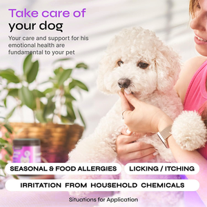 Gâteries à mâcher OEM pour chiens allergies démangeaisons de la peau huile de graines de chanvre curcuma quercétine suppléments immunitaires soulagement saisonnier des allergies - Product Image 3