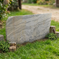 Granite gris LangTaoSha de la carrière TY, poli à la machine, solution écologique moderne pour villas, parcs et immobilier