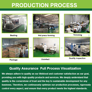 Contenants alimentaires jetables <span class=keywords><strong>en</strong></span> bagasse, sans PFAS, biodégradables, 9x6 pouces, type boîte à clapet pour plats à emporter, vente <span class=keywords><strong>en</strong></span> gros - Product Image 4