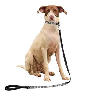 Groothandel Mode Hond & Kat Training Loden Riem Set Sterk Heavy Duty Touw Met Oplaadbare Lichte <span class=keywords><strong>Cartoon</strong></span> Stijl Hondenhalsband - Product Image 4