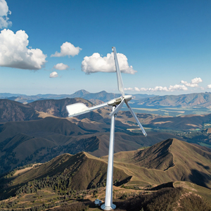 पवन ऊर्जा रूपांतरण के लिए एक स्थायी चुंबक जनरेटर - Product Image 3