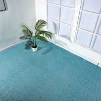 Revêtement de sol en mousse PVC écologique non toxique, rouleau de sol en plastique résistant à l'huile pour salon et bureau