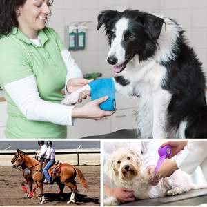 SJ ferme Animal <span class=keywords><strong>cheval</strong></span> jambe enveloppes Non-tissé médical bande de premiers soins pansements adhésifs pour chien de compagnie chat cheville entorses - Product Image 4