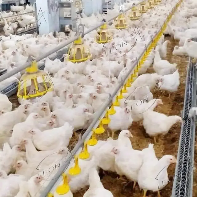 고품질 자동 닭장 농장 집 장비 판매