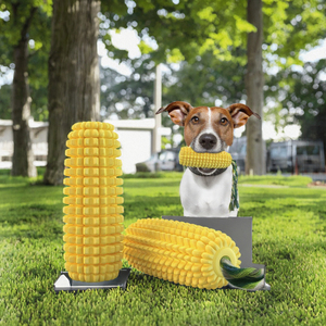 Jouet à mâcher pour chien en TPR écologique, brosse à dents, corde en coton nouée avec sonnette en maïs, fournitures pour animaux de compagnie - Product Image 3