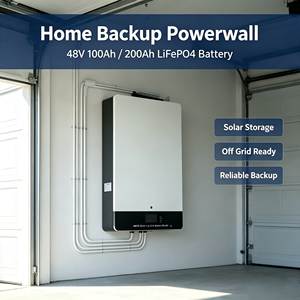 แบตเตอรี่ติดผนัง LiFePO4 ขนาด 5kWh 10kWh 48V 51.2V 100Ah 200Ah 300Ah พร้อมระบบ BMS สำหรับระบบกักเก็บพลังงานแสงอาทิตย์ภายในบ้าน - Product Image 2