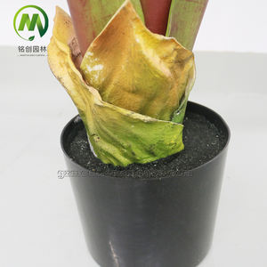 Árbol de Plátano Artificial Realista, Planta <span class=keywords><strong>Tropical</strong></span> de Plástico, Plátano de Pierna de Elefante para Decoración - Product Image 5