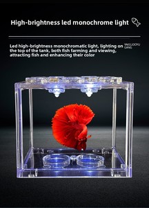 创意现代环保矩形塑料积木斗鱼鱼缸活体宠物观赏客厅景观 - Product Image 5
