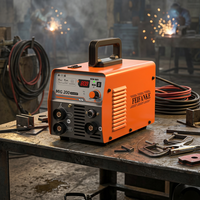 Soudeuse MIG 200 220V sans gaz, machine à souder MIG sans gaz, fil fourré 0,8-1,0 mm, onduleur IGBT