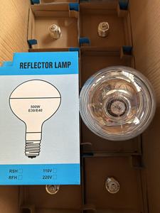 Ampoule de pêche sous-marine R160, transparente, à intensité variable, 500W 1000W 110-130V E40, globe en tungstène <span class=keywords><strong>RFH</strong></span> et RSH - Product Image 3