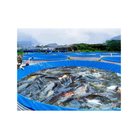 SDM usine chinoise vente en gros grandes bâches rondes en Pvc pour la culture de grumeaux biologiques tilapia RAS culture en réservoir
