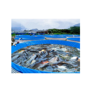 SDM usine chinoise vente en gros grandes bâches rondes en Pvc pour la culture de grumeaux biologiques tilapia RAS culture en réservoir - Product Image 1