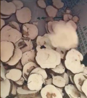 Cassave Poeder Verwerkingsfabriek Machine Apparatuur Yam Gari Cassave Wassen Peeling Snijden Blancheren Drogen Productielijn