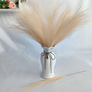 Suministro Directo de Decoración para el Hogar Estilo Ins, Hierba de Pampas Artificial - Product Image 6