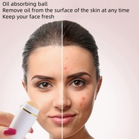 Rouleau réutilisable absorbant l'huile pierre volcanique contrôle de l'huile du visage avec emballage en boîte soins de la peau absorbant l'huile