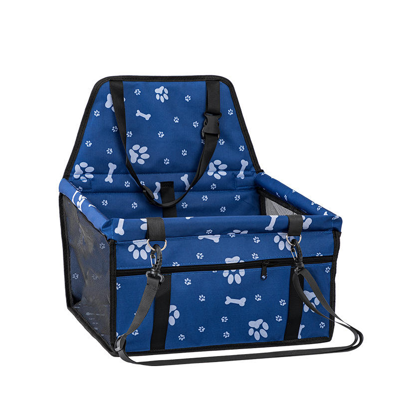 empreintes de chien bule