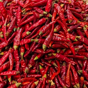 Wholesale HACCP HALAL Certification 100% Organic Dried Chili Peppers Dried Red Chili Peppers No Additives Whole Chilli - Product Image 6