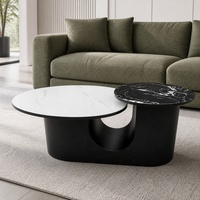 Table basse moderne haut de gamme avec plateau en marbre et structure métallique, design durable pour petit appartement, mobilier de salon de luxe