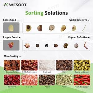 WESORT Fabricante 6SXZ-68 Máquina de clasificación de color cereza de café crudo Maquinaria de procesamiento de alimentos maduros Clasificador de color de granos de café - Product Image 4