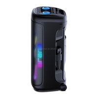 CSN-S1210 Enceinte d'extérieur avec lumières LED RGB, alimentée par batterie, boîtier en plastique
