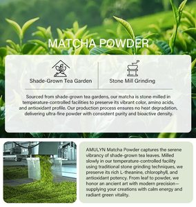 Matcha Orgánico Ceremonial y de Grado Premium para Bebidas |   Empaque Personalizado OEM |   Jardín de Té Certificado - Product Image 3