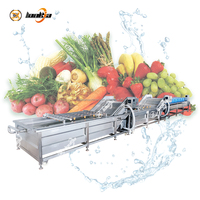 Machine industrielle de nettoyage des fruits et légumes, laveuse à bulles pour carottes, tomates, légumes-feuilles et radis