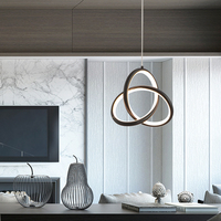 Moderne Unique Style Trèfle Fleur Simple Restaurant Hall Porche Lampe Canal Balcon Petit Couloir Led Pendentif Lumière Lustre