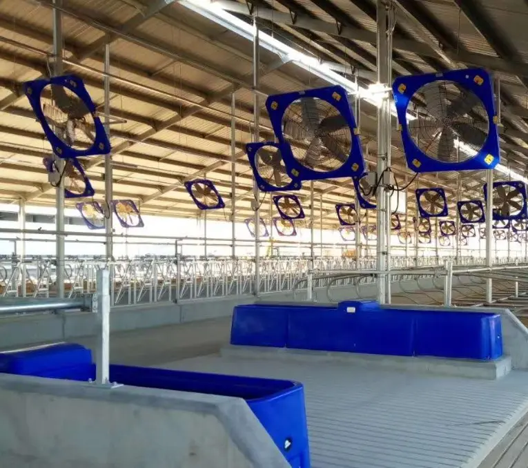 Equipo de granja lechera para el sistema de refrigeración, ventilador para circulación en Rancho