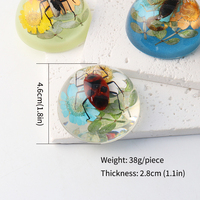 Véritable insecte de fleur dans la collection d'insectes de poids de papier de résine Kits de sciences éducatives spécimens d'insecte de fleur pour la décoration à la maison