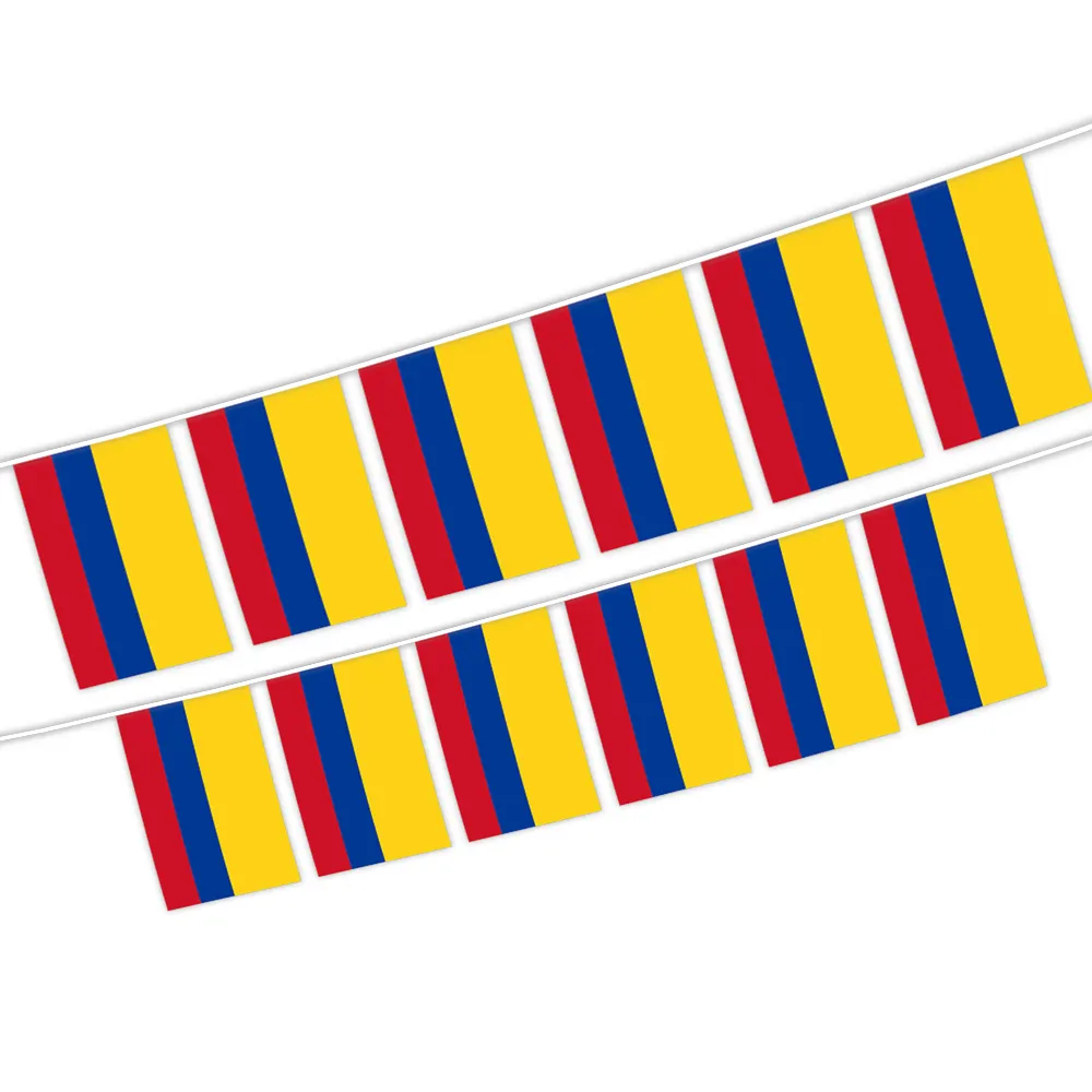Fabricant de gros drapeau colombien Bunting avec taille et motif personnalisés pour les décorations