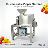 Automatische RVS industriële fruitpers voor sinaasappels, appels, watermeloenen, mango's en ananas, hoge productiviteit, 1500W