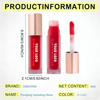 Gloss à lèvres repulpant longue durée personnalisé, gloss à lèvres repulpant rafraîchissant en gros, lèvres visiblement plus pulpeuses, gloss à lèvres repulpant végétalien pour marque privée
