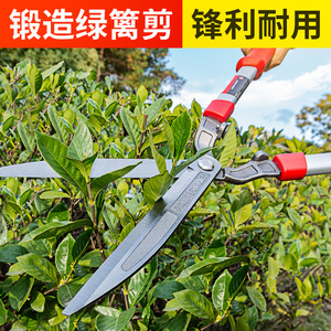 Hedge Shears 22 In Stainless Steel Forged Pruning Tool For Thick Branches And Bushes - Product Image 4