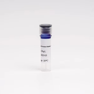 Marcatore proteico Pre-macchiato (10 ~ 180 KDa) - Product Image 1