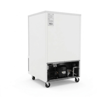 Congélateur-chiller commercial 10 plateaux en acier inoxydable avec refroidissement par air/ventilateur -40°C, congélation rapide et dégivrage automatique