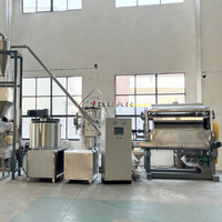 Séchoir rotatif automatique à tambour chauffé électriquement haute puissance avec engrenage en titane pour le séchage de la poudre de café, du thé, des polyphénols et des aliments