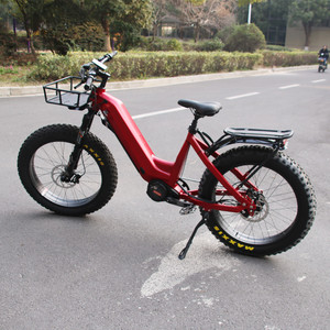 Step Thru Ebike 1000W 48V 30Ah Batterie Vélo Électrique 14 Vitesses <span class=keywords><strong>ROHLOFF</strong></span> IGH Hub 55 KM/H Belt Drive E Bike pour Adultes - Product Image 4