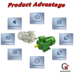 มอเตอร์ไฟฟ้ากระแสสลับแบบอะซิงโครนัสเฟสเดียว Gexin CE YC ซีรีส์ คุณภาพสูง 0.75 กิโลวัตต์ 220 โวลต์ 1 แรงม้า สองค่าแรงดัน ตัวถังเหล็กหล่อ - Product Image 5