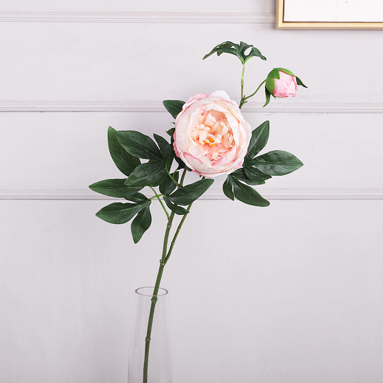 สีชมพูอ่อน