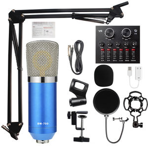 Equipo de <span class=keywords><strong>audio</strong></span> profesional de alta calidad BMG, equipo de grabación de <span class=keywords><strong>audio</strong></span> adecuado para micrófonos KTV - Product Image 5