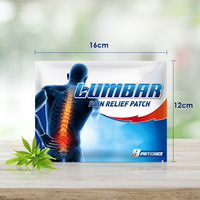 Meilleure vente patch de soulagement de la douleur lombaire au dos muscle genou douleur articulaire soins du corps plâtre oem odm