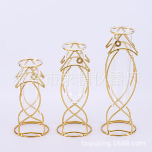 Minimalist Iron Vase With Glass Hydroponic <b>Container</b> Gold Color For Home Decor Plant Display - Product Image 1