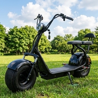 Scooter électrique double siège pour adultes, pneus larges Citycoco, étanche, 1000W/2000W, 20AH, cyclomoteur pour les trajets quotidiens
