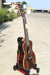 Оптовая продажа, заводская цена, бренд Aiersi, OEM ODM Java, эбонитовый пикап укулеле, производство Китай, высококачественный Гавайский гитарный струнный инструмент - Product Image 3