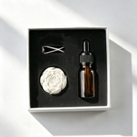 Diffuseur d'huiles essentielles en porcelaine en gros, parfum d'ambiance pour la maison, diffuseur d'arômes en céramique, désodorisant de voiture en plâtre parfumé