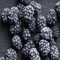 冷凍ブラックベリーIQFブラックベリー中国ブランド高品質栽培バルクフルーツ