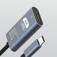 Carte de Capture Vidéo HDMI Type C vers HDMI Femelle, Adaptateur de Câble pour Enregistrement Vidéo de Jeu, Sortie 8K 4K 1080P 60Hz 30Hz