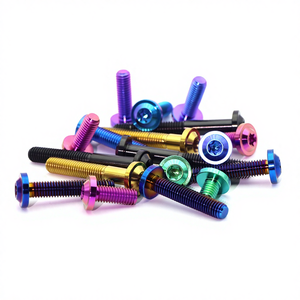 NICE T-101 <span class=keywords><strong>Titanium</strong></span> Legering Schroeven Moeren voor AUTO ATV UTV Motorfietsen Grote Kop Schijfkop Binnen Torx M4-M10 Op Maat - Product Image 1